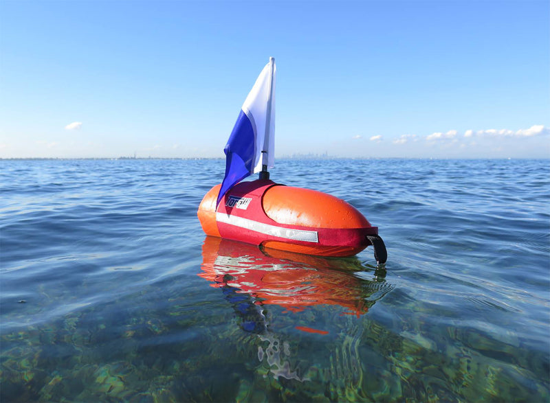 Dog and Berry Flasher System