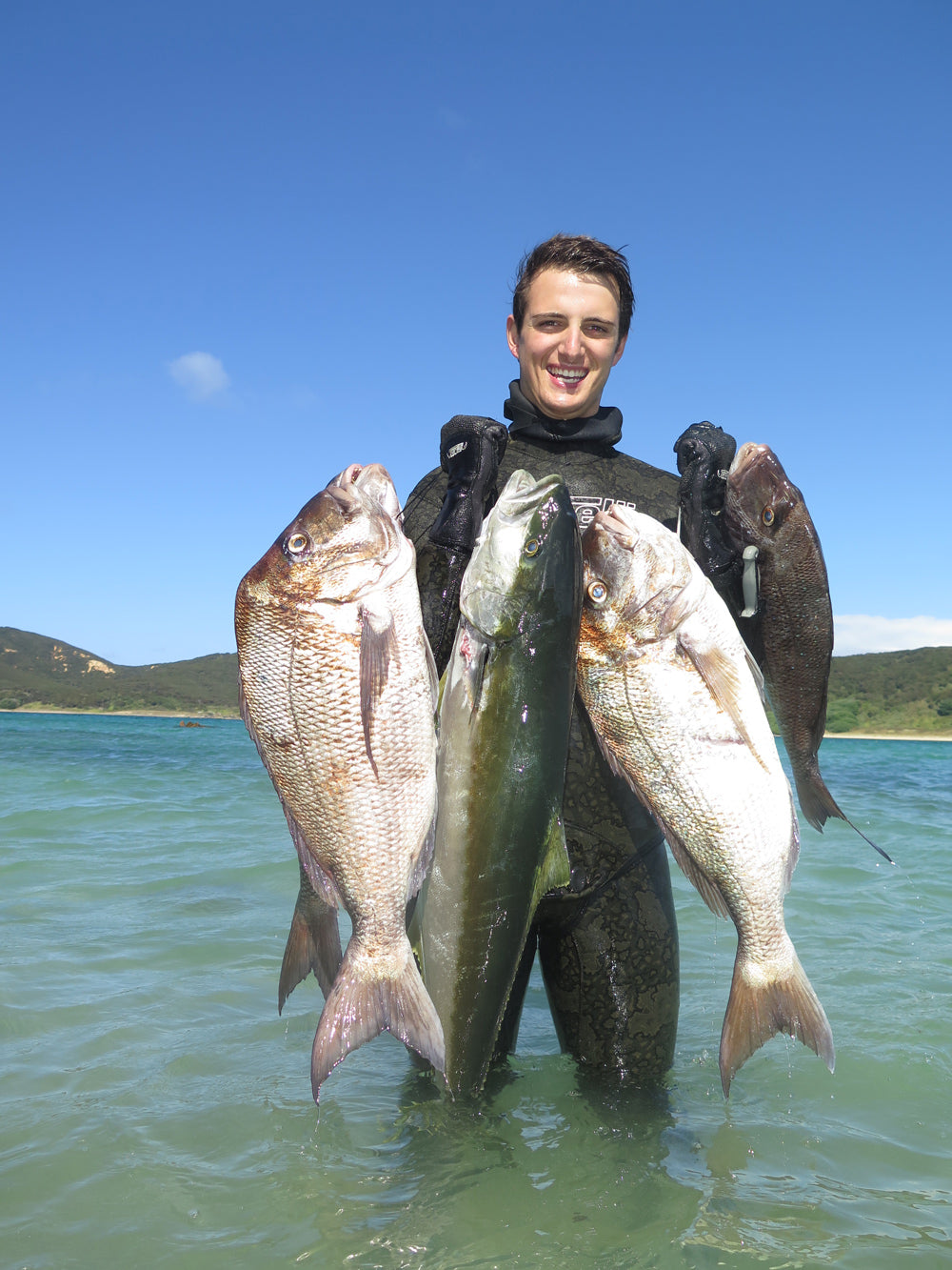 TORELLI 3MM KEVLAR GLOVES